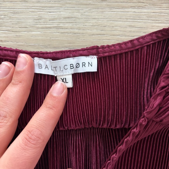 Baltic Born Rich Burgundy Velvet Long Sleeve Dress - Picture 3 of 4